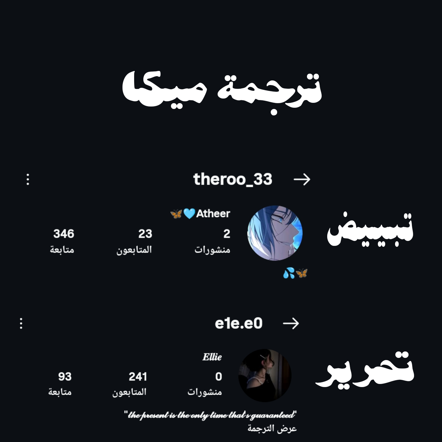 الصفحة 13