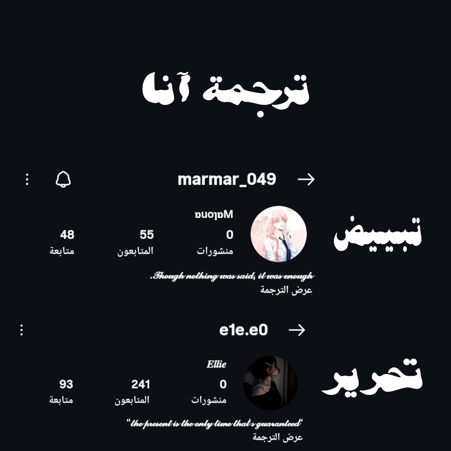 الصفحة 13