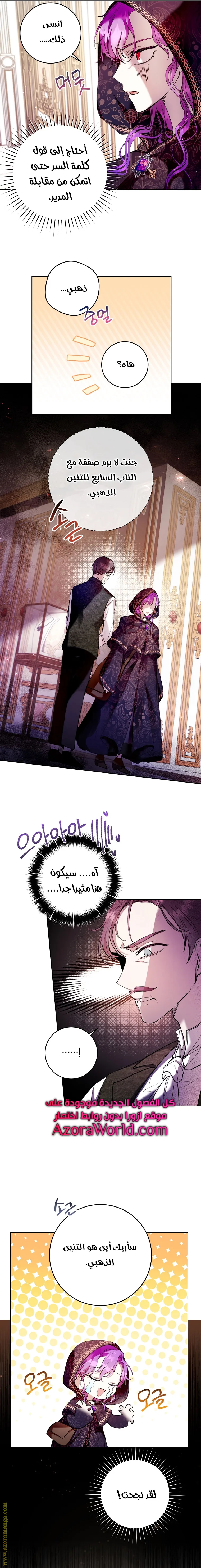 الصفحة 17
