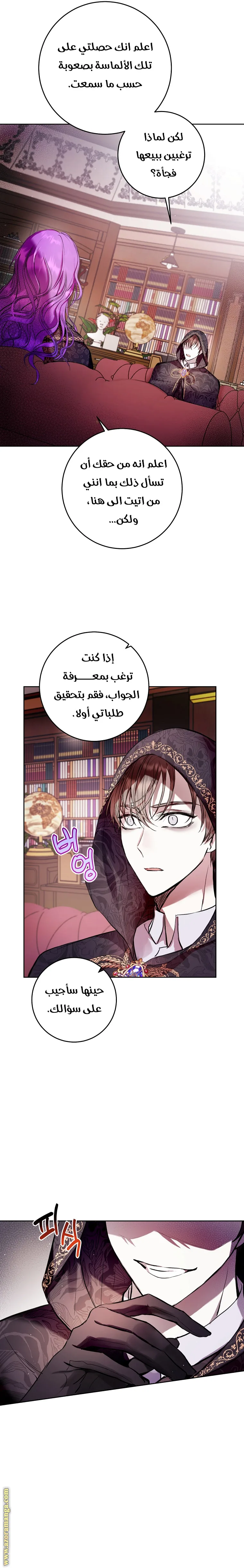 الصفحة 17