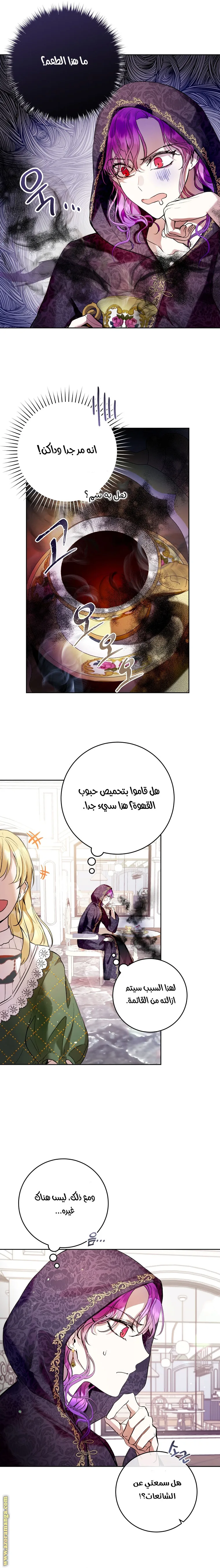 الصفحة 12