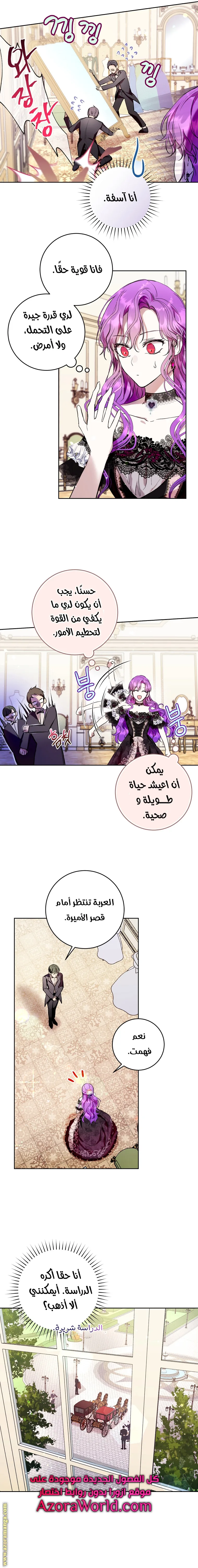 الصفحة 17