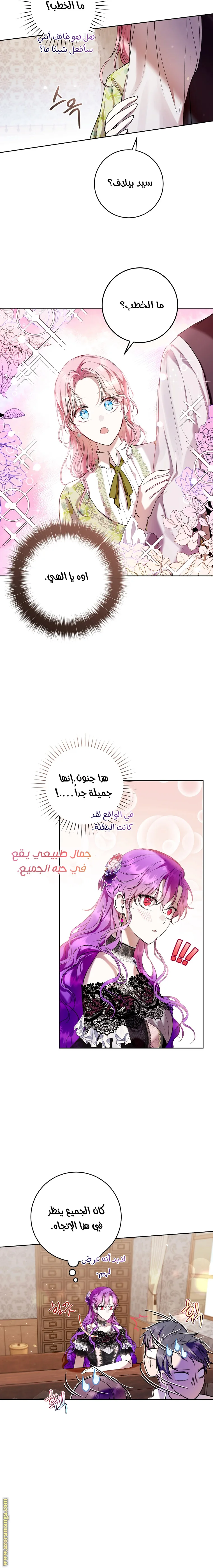 الصفحة 15