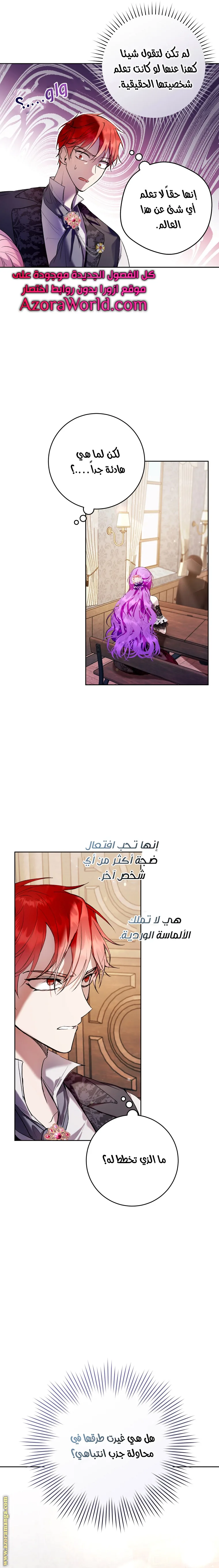 الصفحة 17
