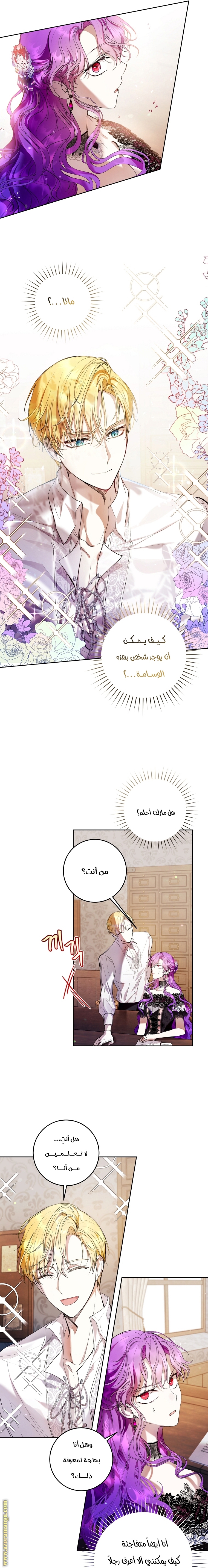 الصفحة 7