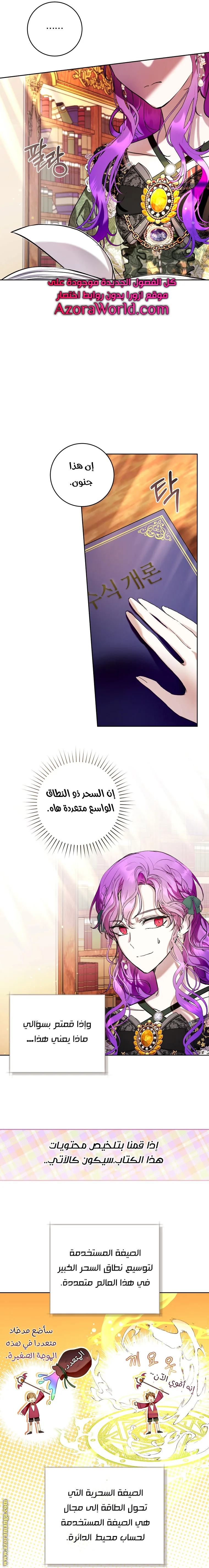 الصفحة 13