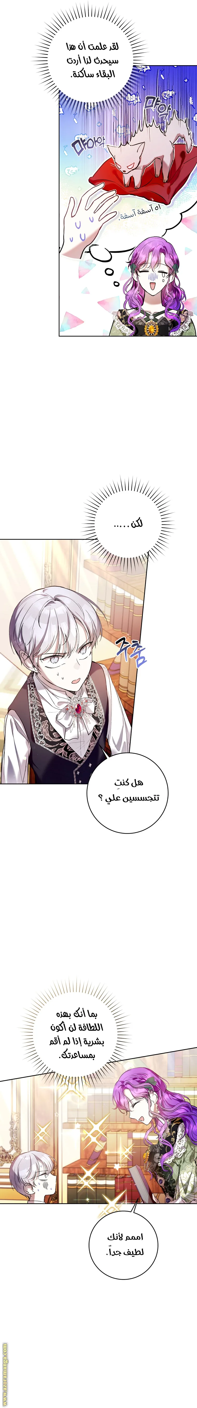 الصفحة 19