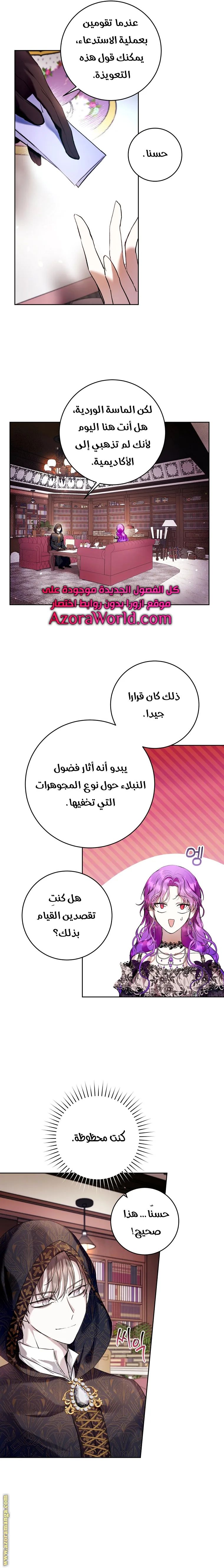 الصفحة 17