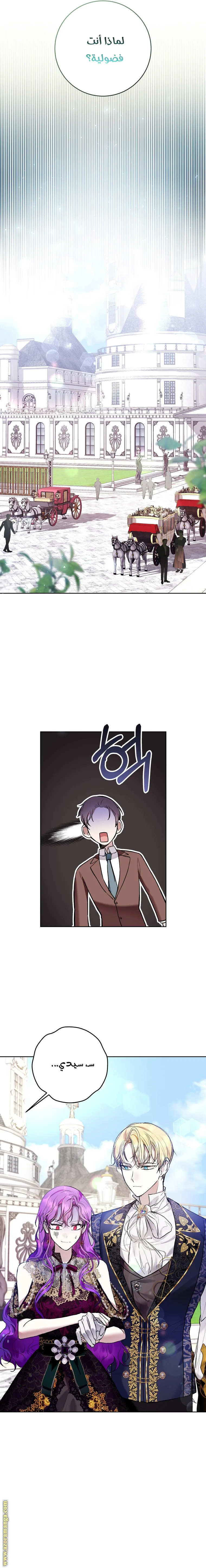 الصفحة 13