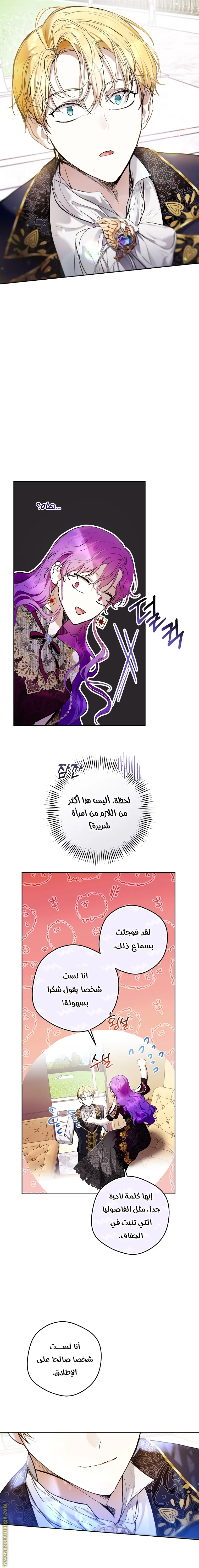 الصفحة 17