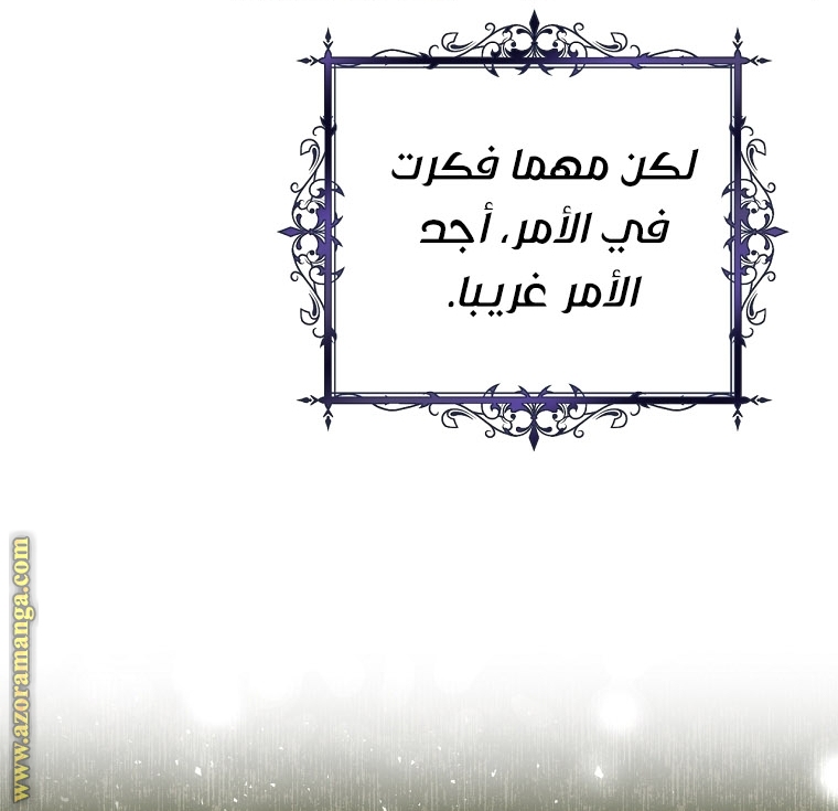 الصفحة 25