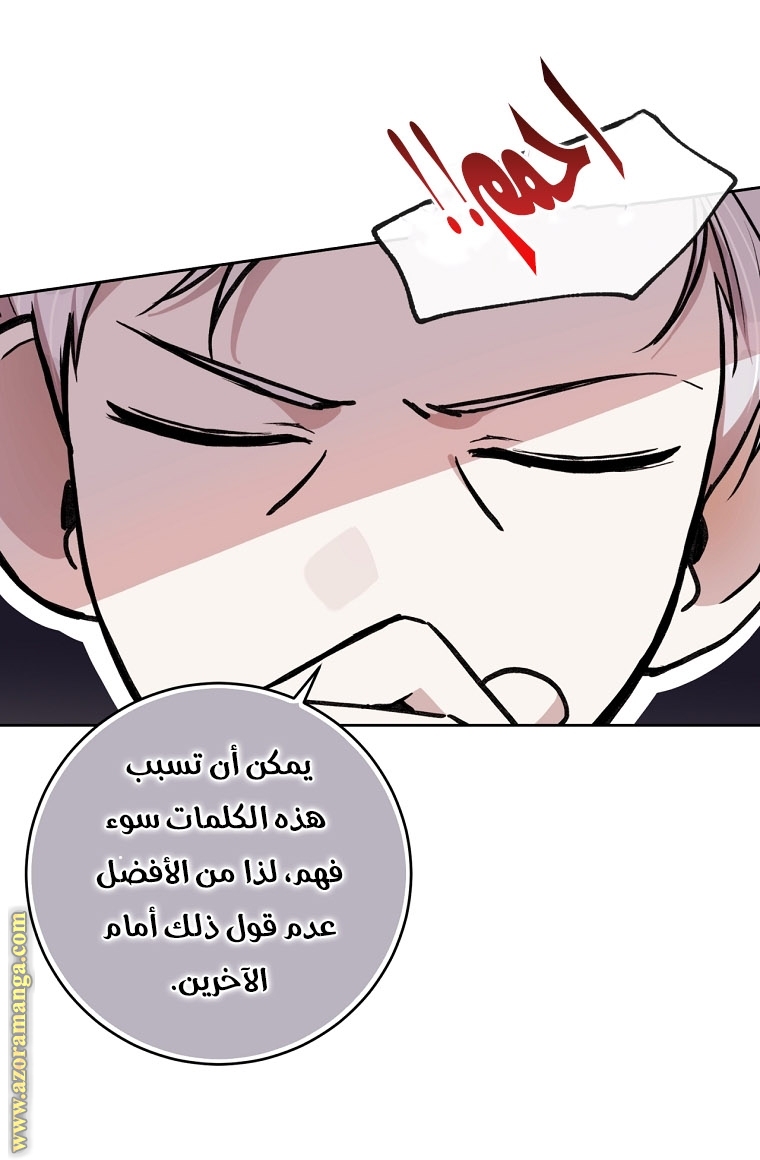 الصفحة 41