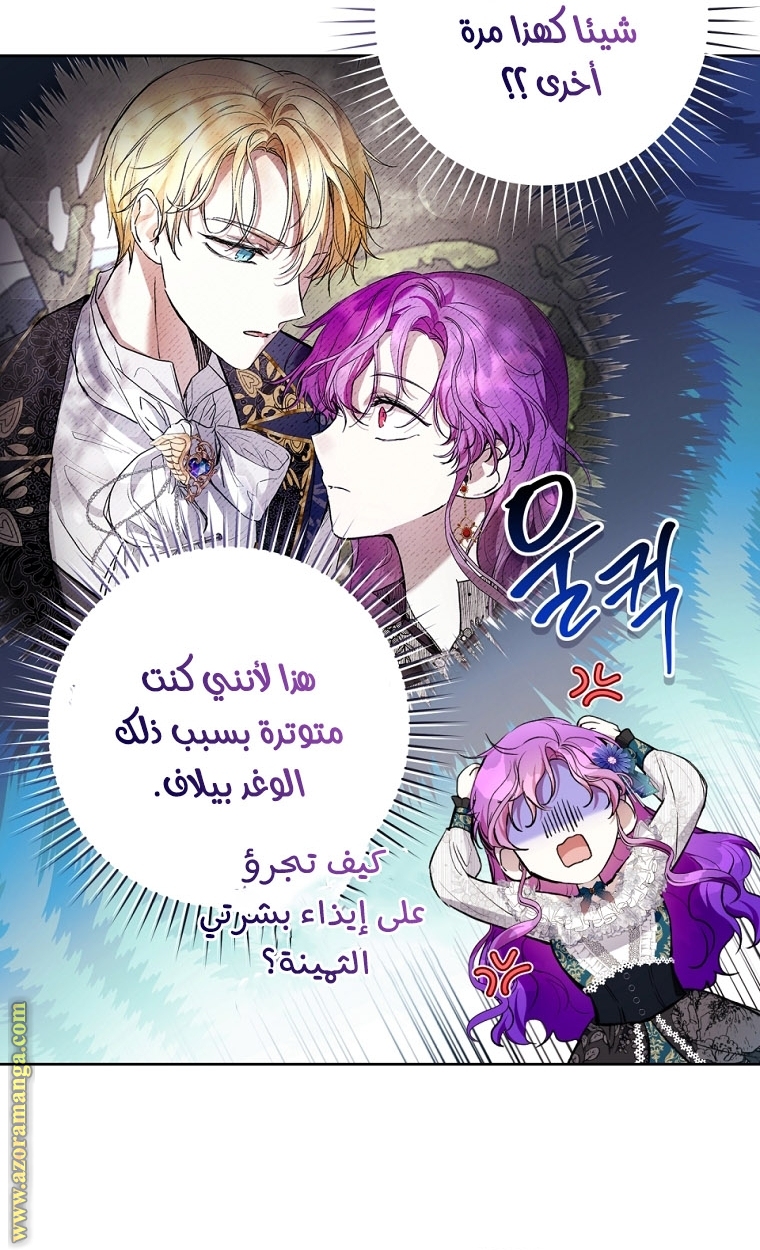الصفحة 49