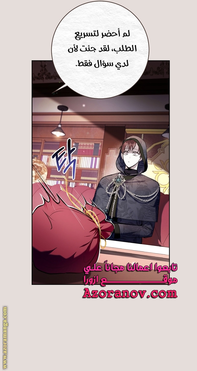 الصفحة 25