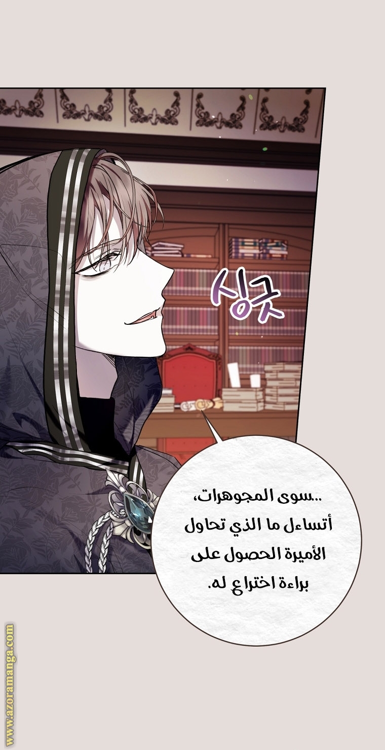 الصفحة 30