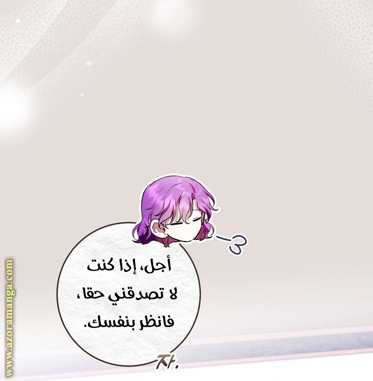 الصفحة 41