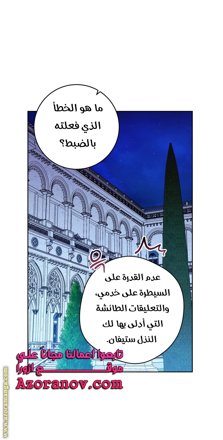 الصفحة 17