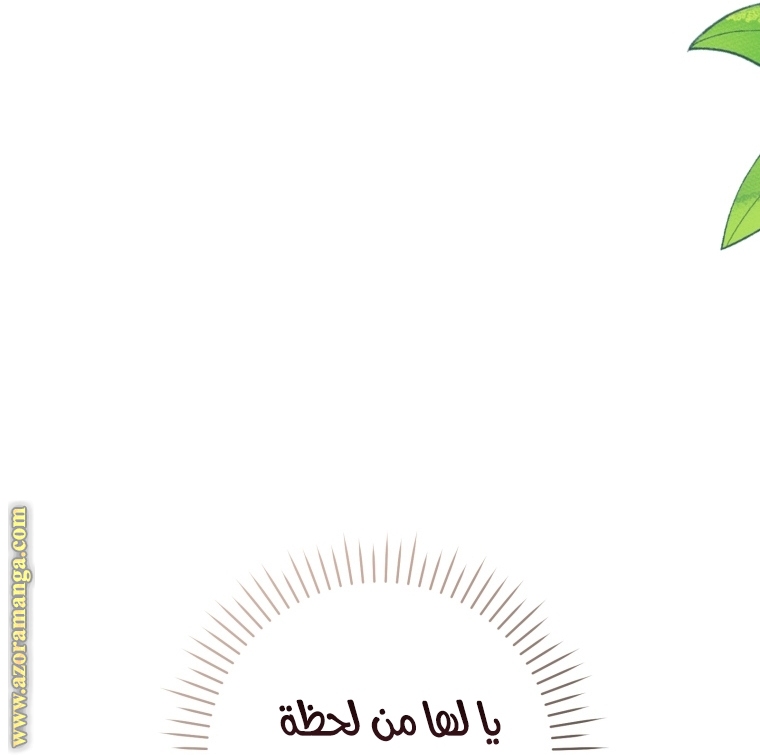 الصفحة 41