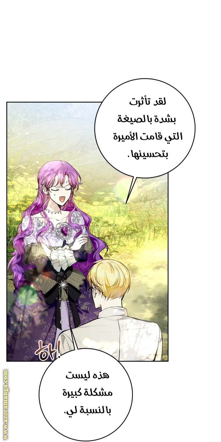 الصفحة 46