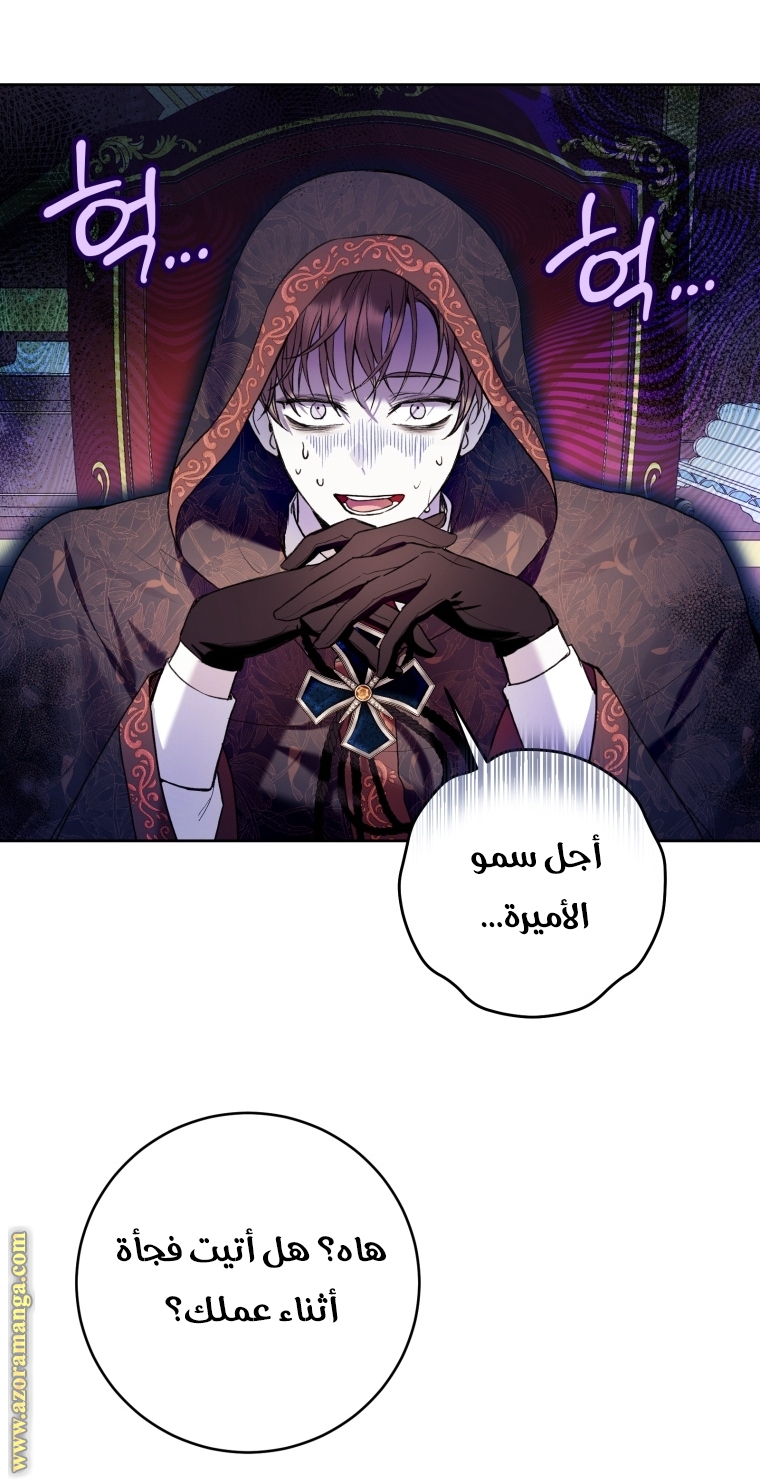 الصفحة 63