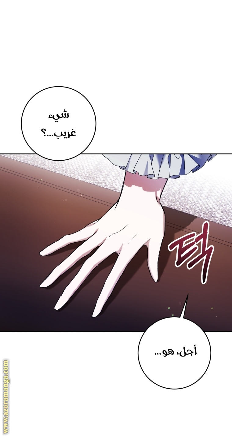 الصفحة 67