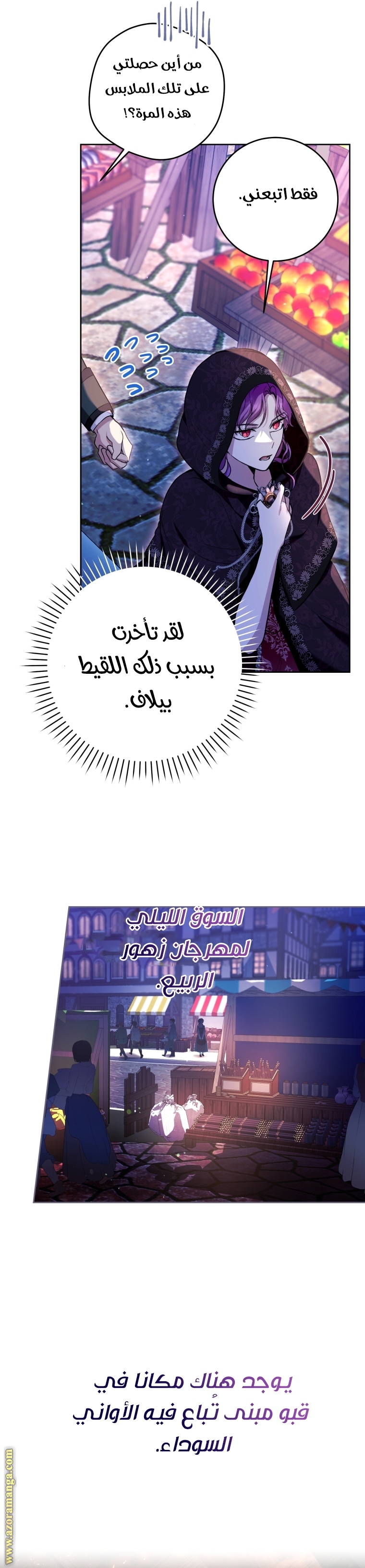 الصفحة 29