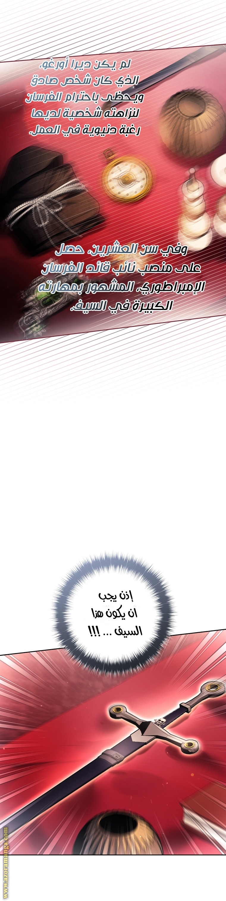 الصفحة 13