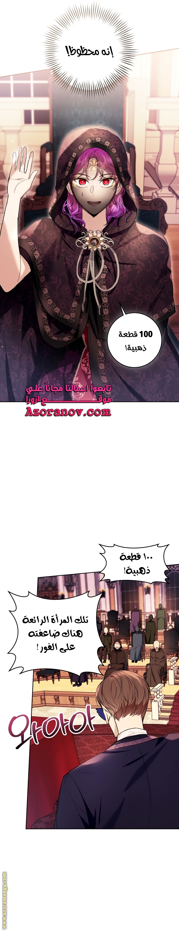 الصفحة 17