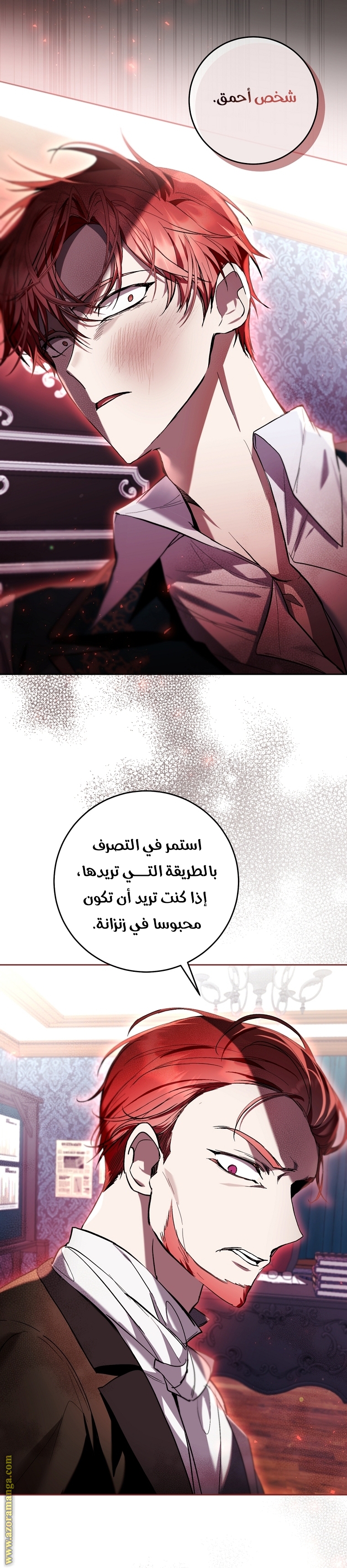 الصفحة 25