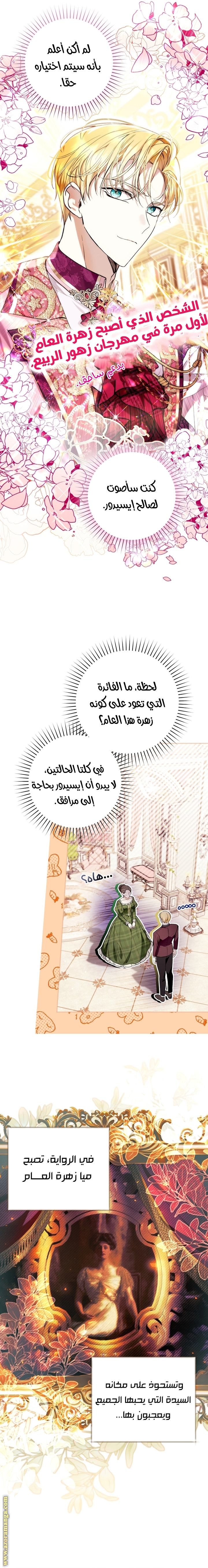 الصفحة 17