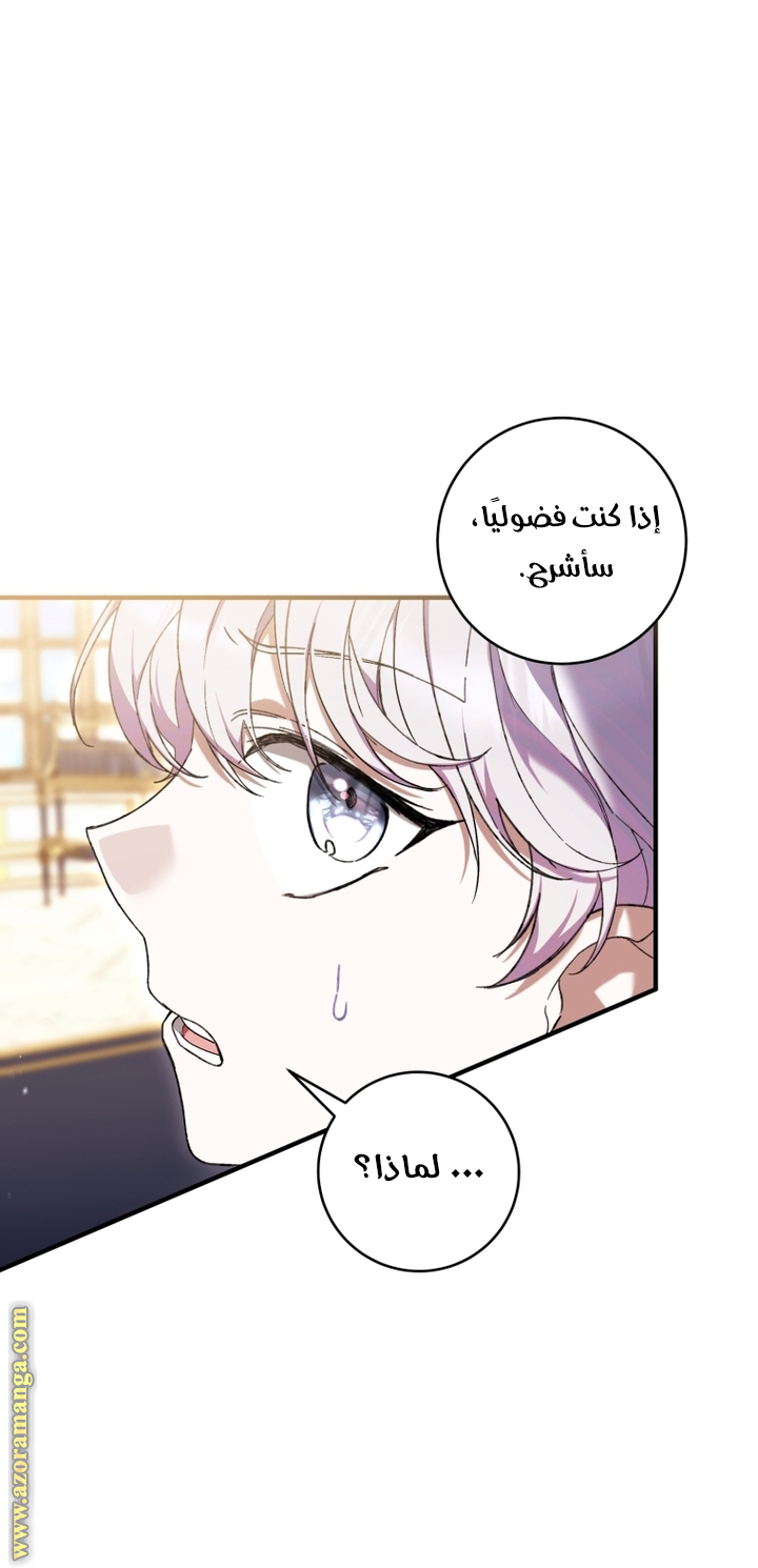 الصفحة 25