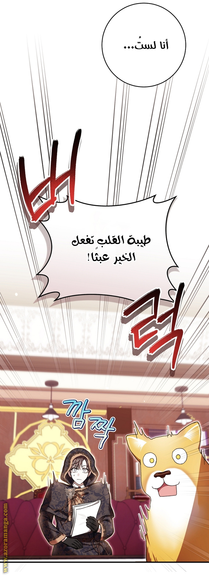 الصفحة 25