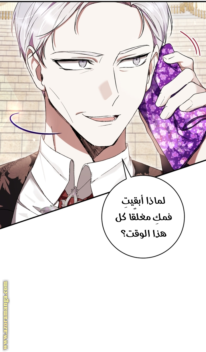 الصفحة 17