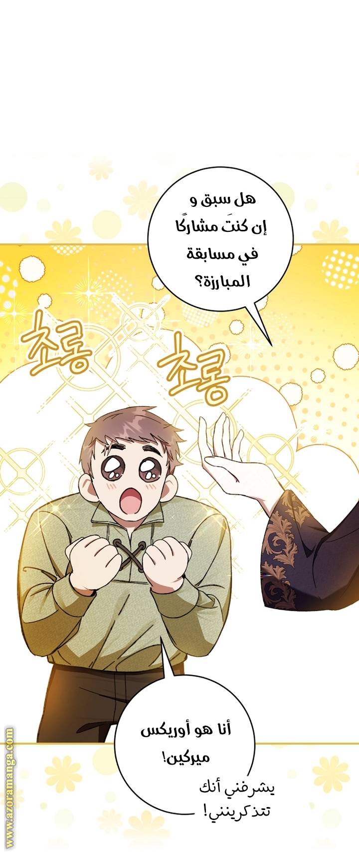 الصفحة 27