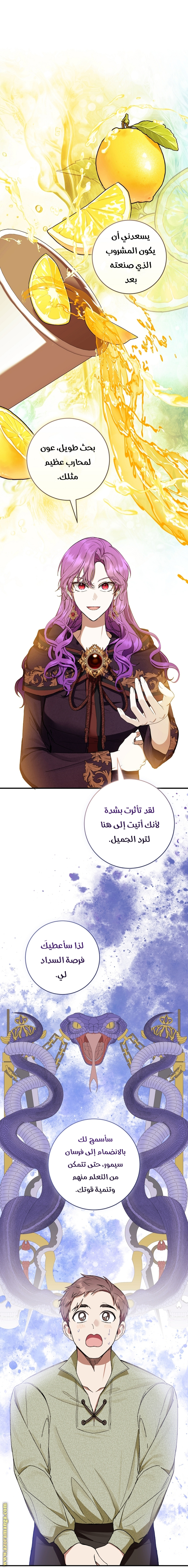 الصفحة 43