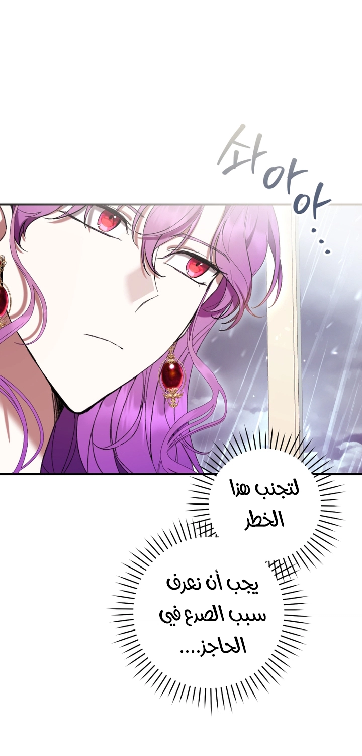 الصفحة 47