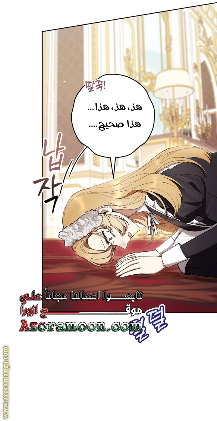 الصفحة 19