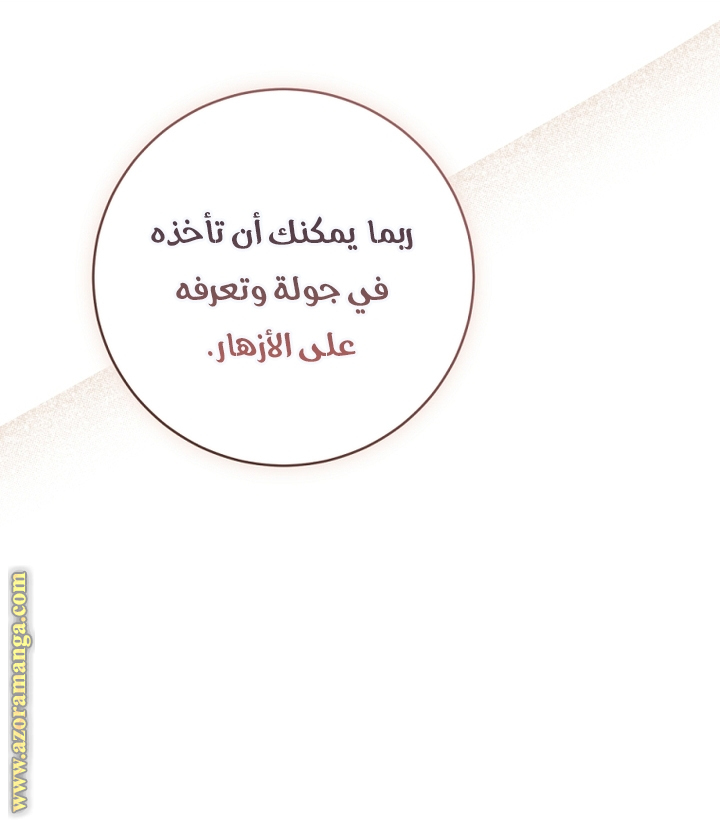 الصفحة 24