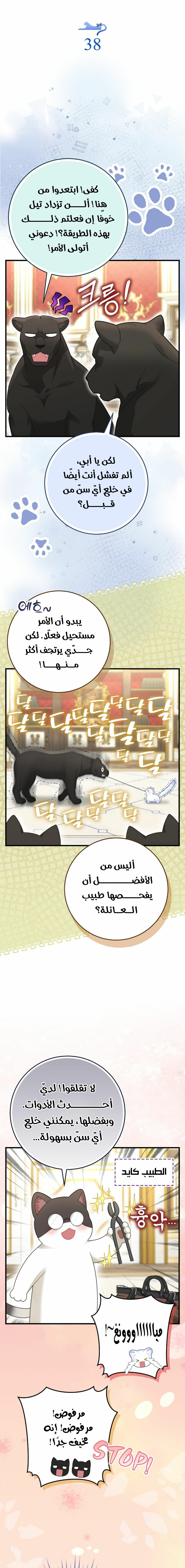 الصفحة 5