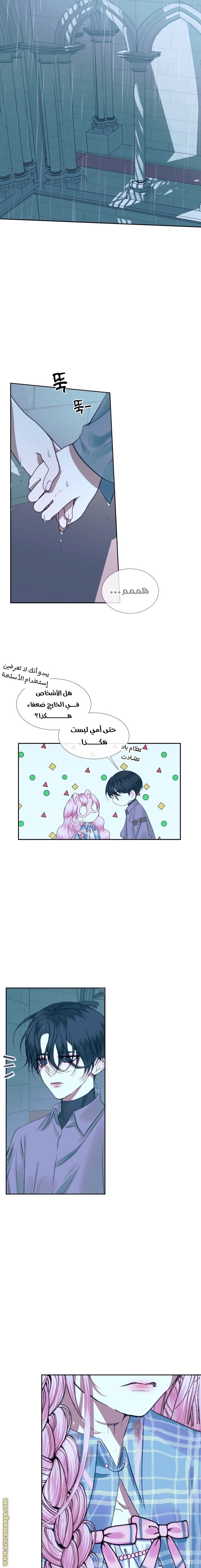 الصفحة 11