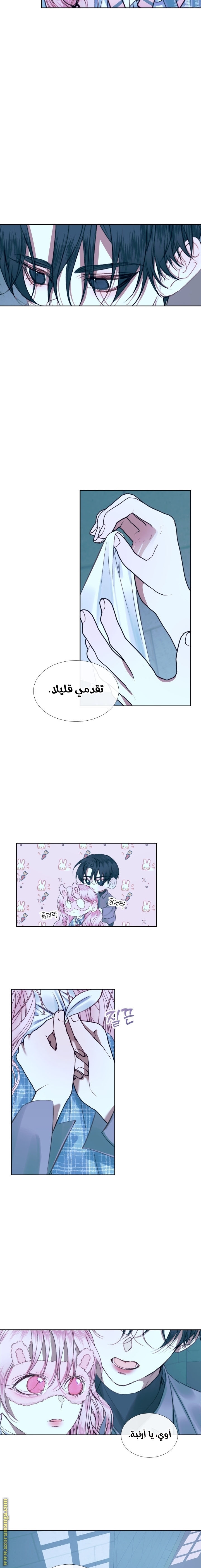 الصفحة 12