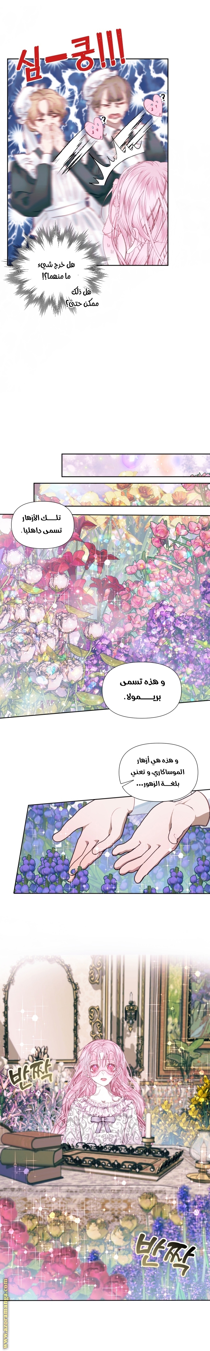الصفحة 3