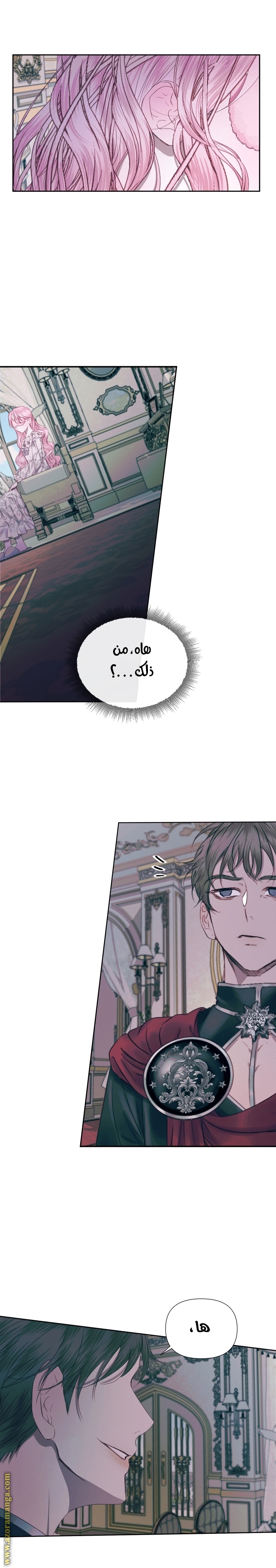 الصفحة 13