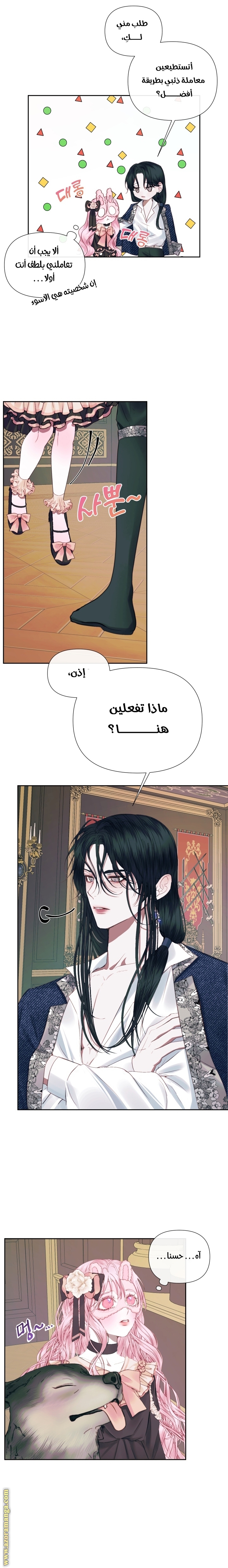 الصفحة 13