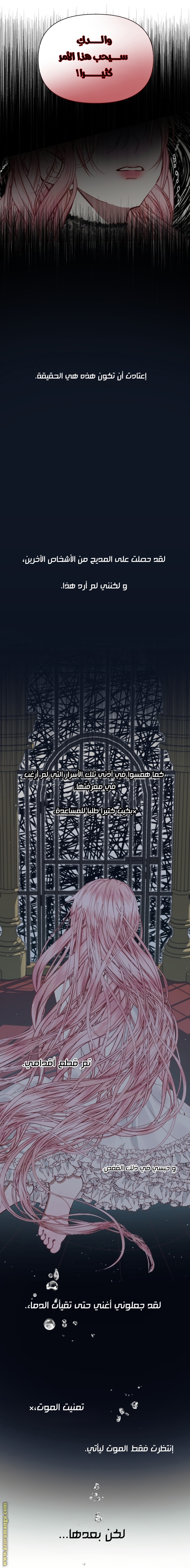 الصفحة 17