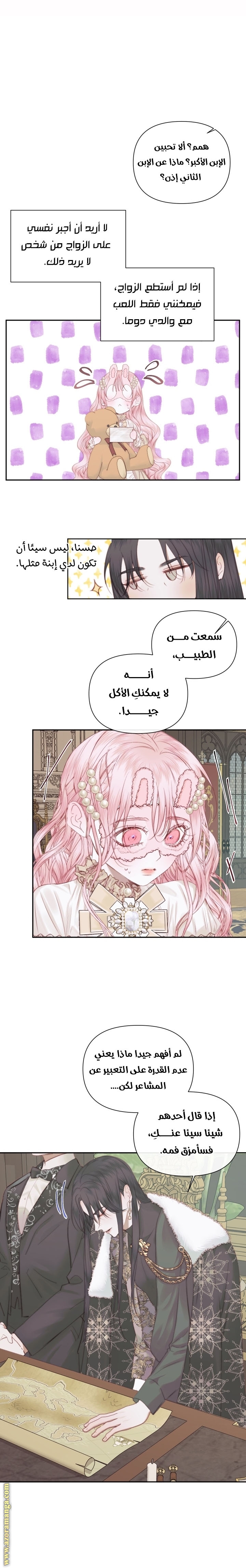 الصفحة 13