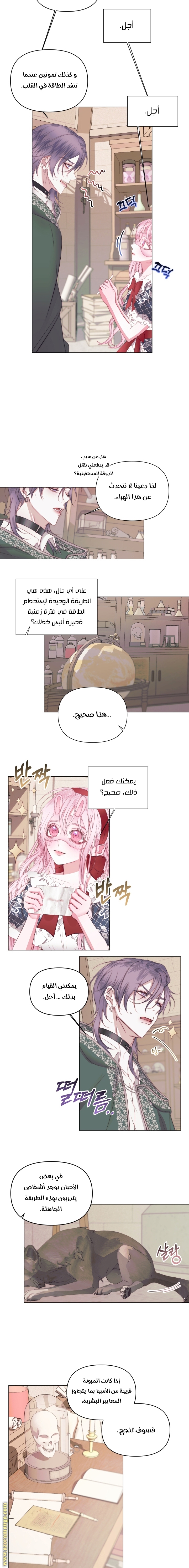 الصفحة 8