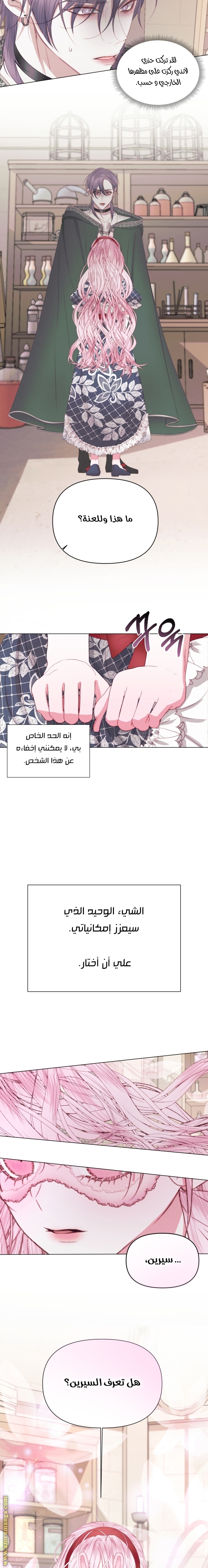 الصفحة 11