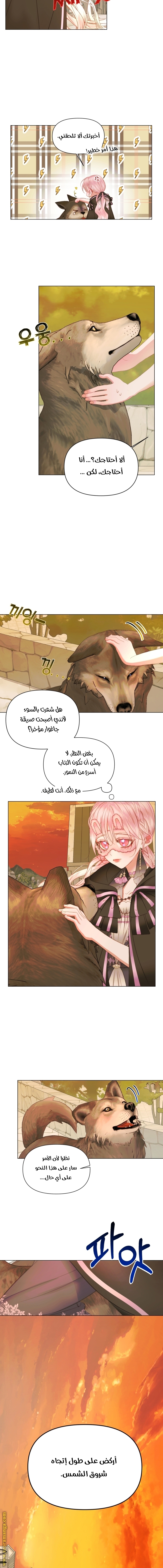 الصفحة 8