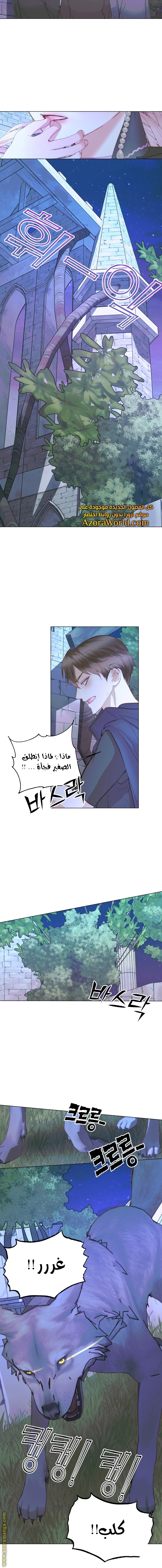 الصفحة 8